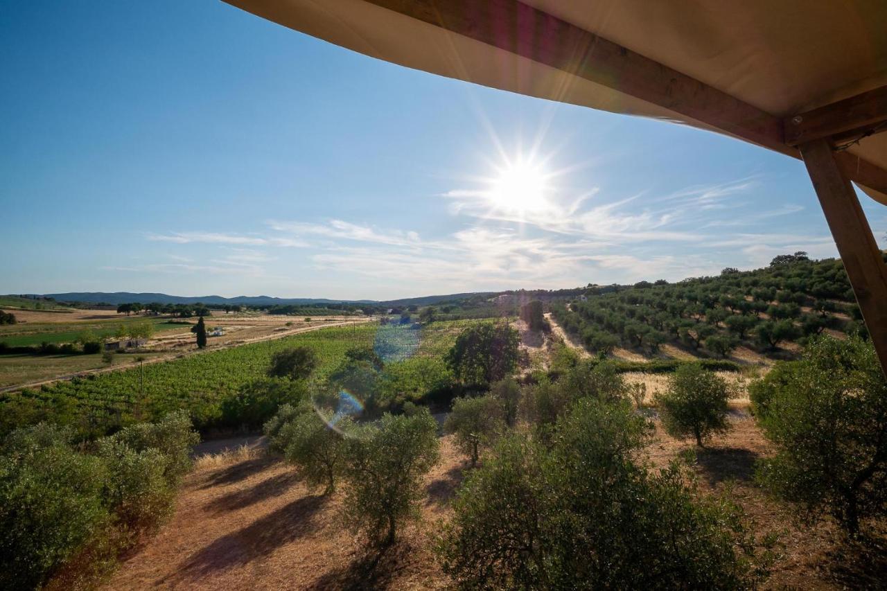 Glamping Podere San Jacopo ماسا ماريتيما المظهر الخارجي الصورة